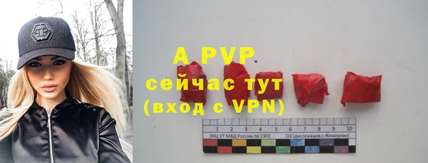 прущие грибы Кукмор