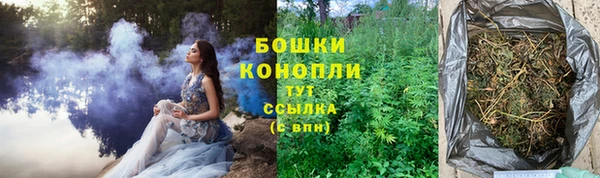 прущие грибы Кукмор