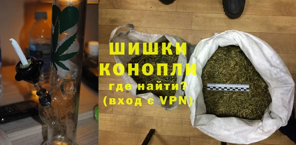 прущие грибы Кукмор