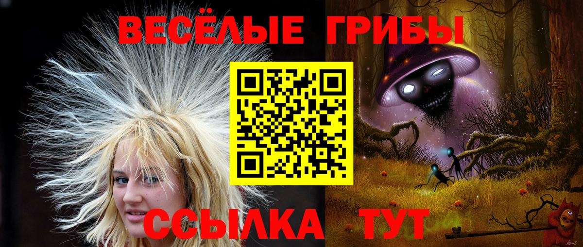Галлюциногенные грибы Psilocybe Волжский