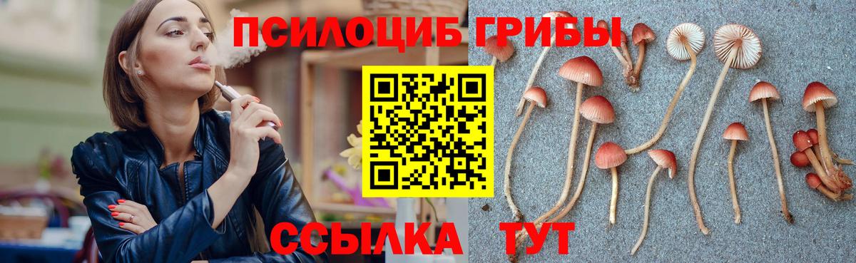 Галлюциногенные грибы Psilocybine cubensis  Волжский 